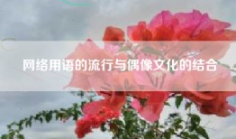 网络用语的流行与偶像文化的结合