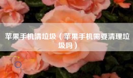苹果手机清垃圾（苹果手机需要清理垃圾吗）