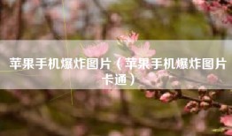 苹果手机爆炸图片（苹果手机爆炸图片卡通）