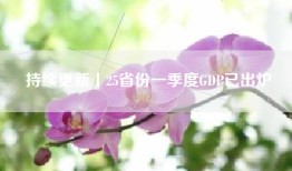 持续更新丨25省份一季度GDP已出炉