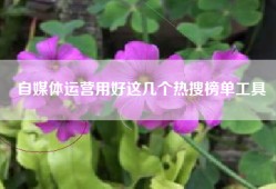 自媒体运营用好这几个热搜榜单工具
