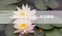 67.220.90.30..bbs.net的seo综合查询