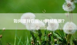 如何提升百度SEO网站指数？