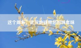 这个周末，武汉地铁带您回味年味
