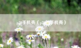 p20手机壳（p20的手机壳）