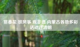 赏春花 放风筝 观非遗 内蒙古各地多彩活动过清明