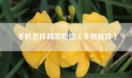 手机怎样群发短信（手机软件）