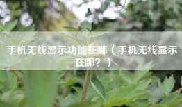 手机无线显示功能在哪（手机无线显示在哪？）