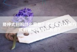 质押式回购什么意思？这种金融交易方式有哪些风险和机会？