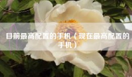 目前最高配置的手机（现在最高配置的手机）