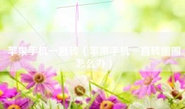 苹果手机一直转（苹果手机一直转圈圈怎么办）
