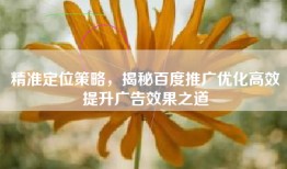 精准定位策略，揭秘百度推广优化高效提升广告效果之道