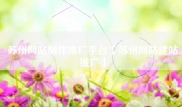 苏州网站制作推广平台【苏州网站建站推广】