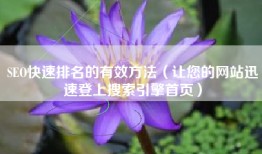 SEO快速排名的有效方法（让您的网站迅速登上搜索引擎首页）