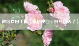 微信找回手机（微信找回手机号码丢了）
