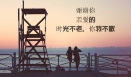 seo 短视频网页入口引流高效推广策略