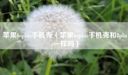 苹果6splus手机壳（苹果6splus手机壳和8plus一样吗）