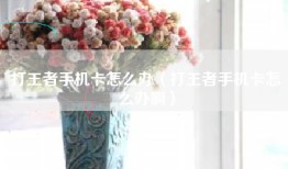 打王者手机卡怎么办（打王者手机卡怎么办啊）