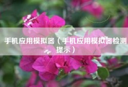 手机应用模拟器（手机应用模拟器检测提示）