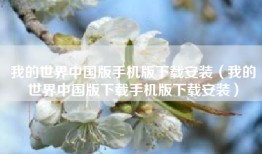 我的世界中国版手机版下载安装（我的世界中国版下载手机版下载安装）