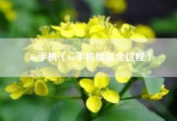 6x手机（6x手机组装全过程）