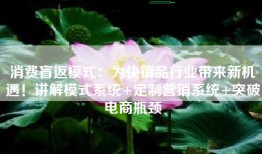 消费盲返模式：为快销品行业带来新机遇！讲解模式系统+定制营销系统+突破电商瓶颈
