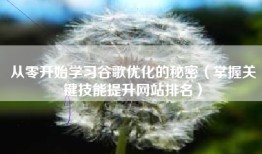 从零开始学习谷歌优化的秘密（掌握关键技能提升网站排名）