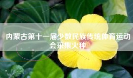 内蒙古第十一届少数民族传统体育运动会采集火种