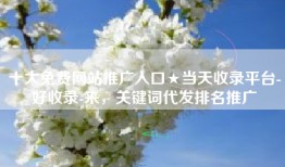十大免费网站推广入口★当天收录平台-好收录-来，关键词代发排名推广