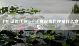 手机设置代理ip（手机设置代理是什么意思）