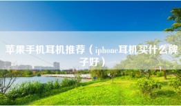 苹果手机耳机推荐（iphone耳机买什么牌子好）