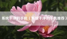 系统干净的手机（系统干净的手机推荐）