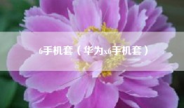 6手机套（华为x6手机套）