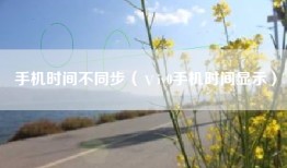 手机时间不同步（ⅴiv0手机时间显示）
