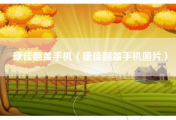 康佳翻盖手机（康佳翻盖手机图片）