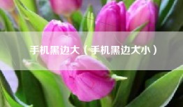 手机黑边大（手机黑边大小）