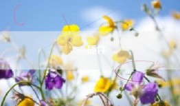 seo插件