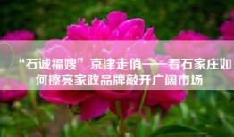 “石诚福嫂”京津走俏——看石家庄如何擦亮家政品牌敲开广阔市场