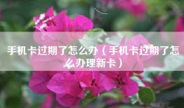 手机卡过期了怎么办（手机卡过期了怎么办理新卡）