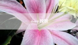 dou+投放