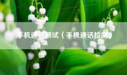 手机通话测试（手机通话检测）