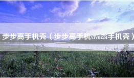 步步高手机壳（步步高手机vivoz3i手机壳）