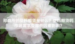 郑商所的塑料期货是什么？塑料期货的市场需求受哪些因素影响？
