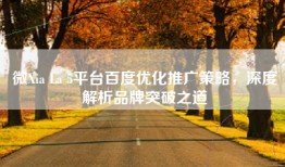 微Xia La 5平台百度优化推广策略，深度解析品牌突破之道