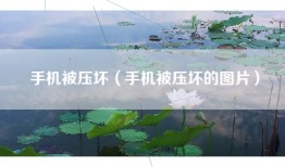 手机被压坏（手机被压坏的图片）