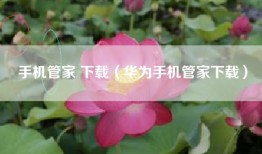 手机管家 下载（华为手机管家下载）
