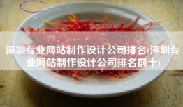 深圳专业网站制作设计公司排名(深圳专业网站制作设计公司排名前十)