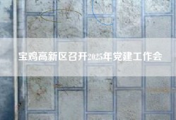 宝鸡高新区召开2025年党建工作会
