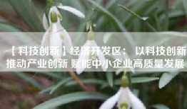 【科技创新】经济开发区： 以科技创新推动产业创新 赋能中小企业高质量发展