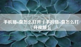 手机插u盘怎么打开（手机插u盘怎么打开视频）